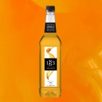  1883 Syrup Mật Ong